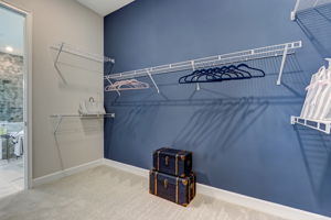 Primary Bedroom Closet