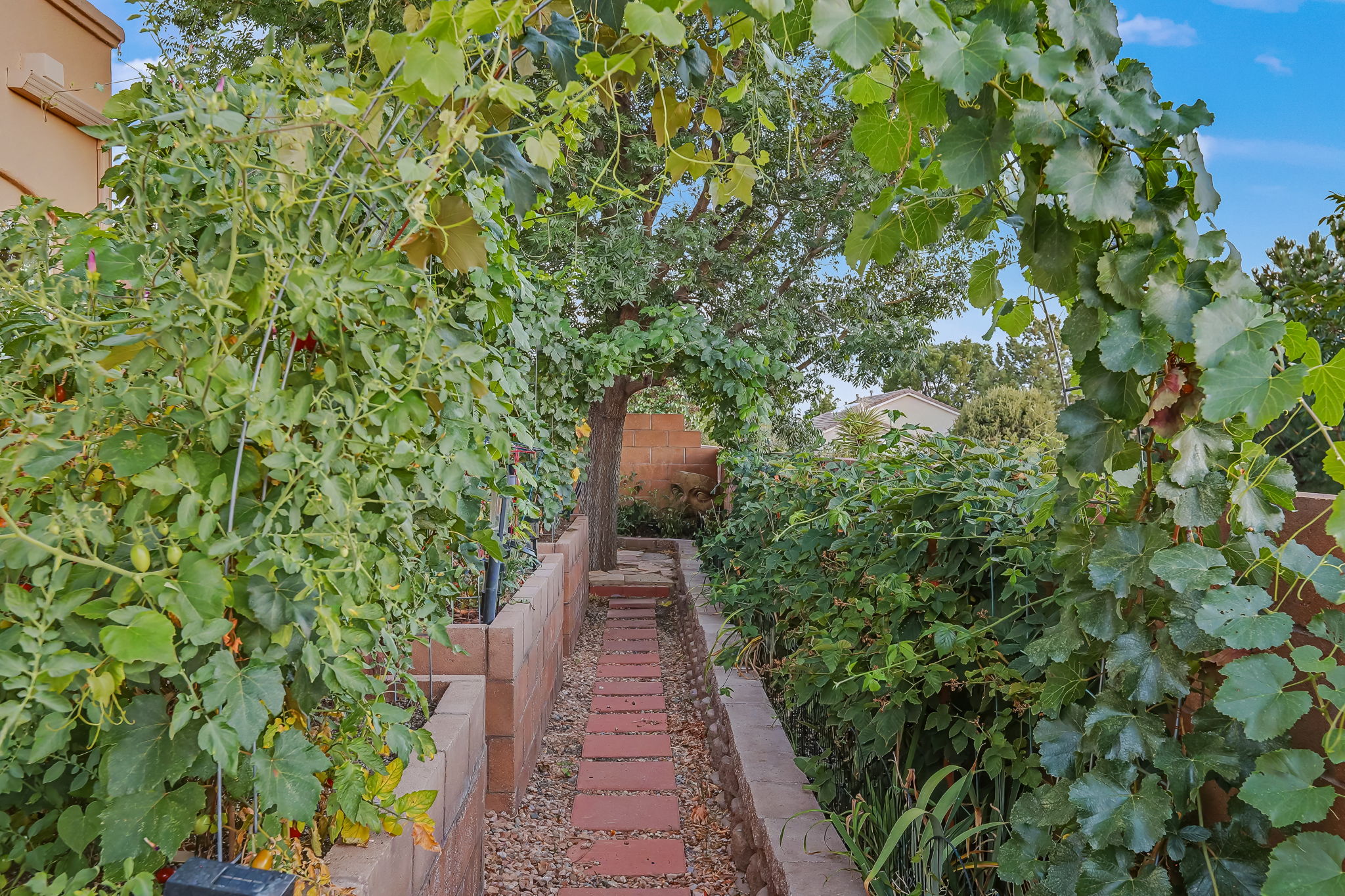  Photo 46