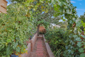  Photo 45