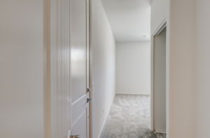 Brotchie Ln-014