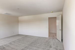 Brotchie Ln-035