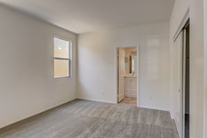 Brotchie Ln-018