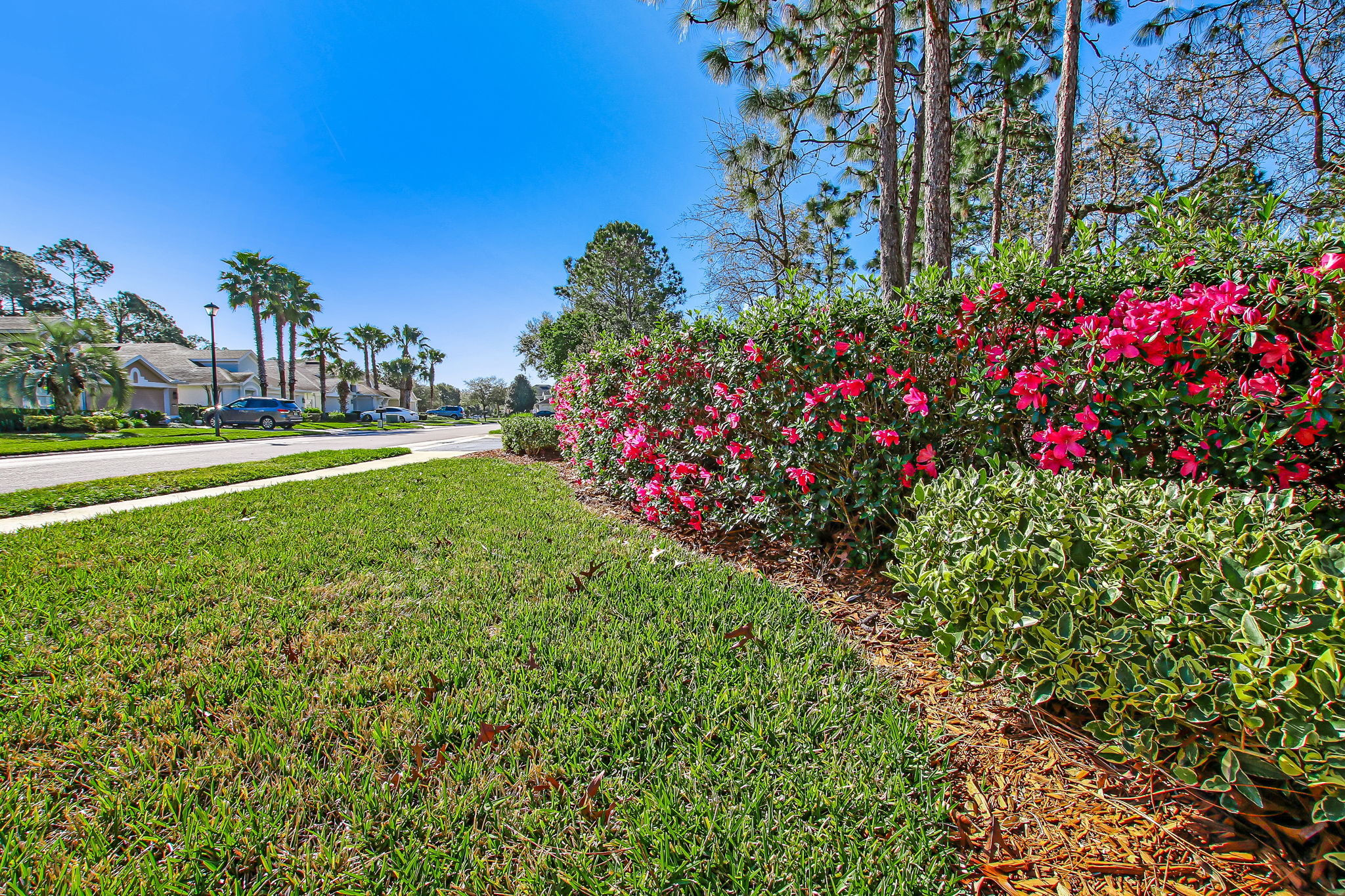 Flowering Community Landscaping