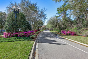 Beautiful Flowered Entrance to Gage