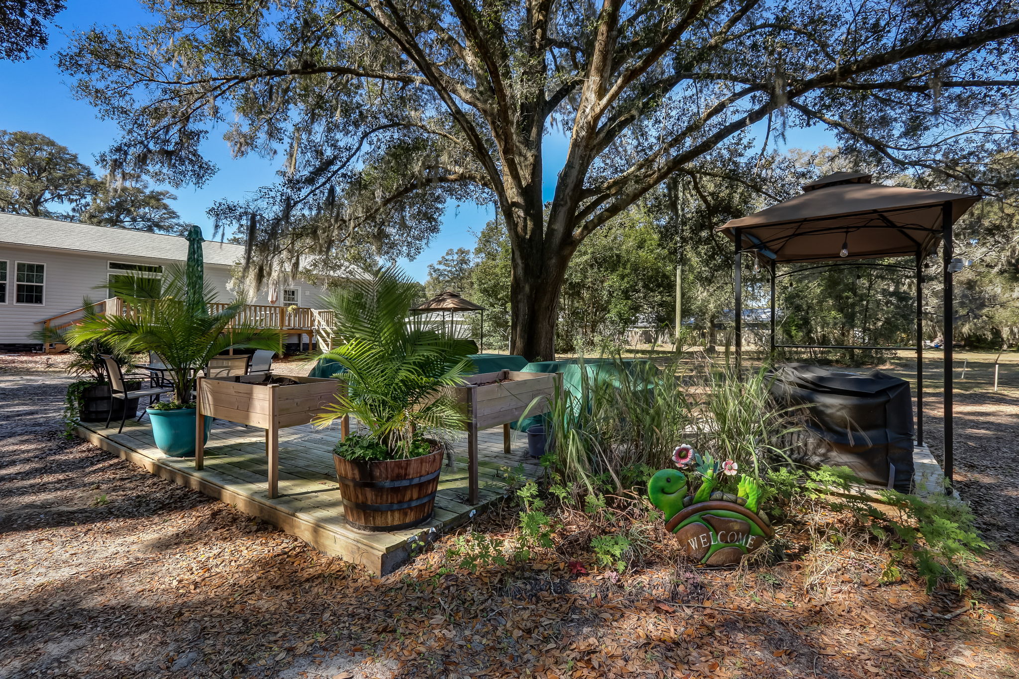 Backyard