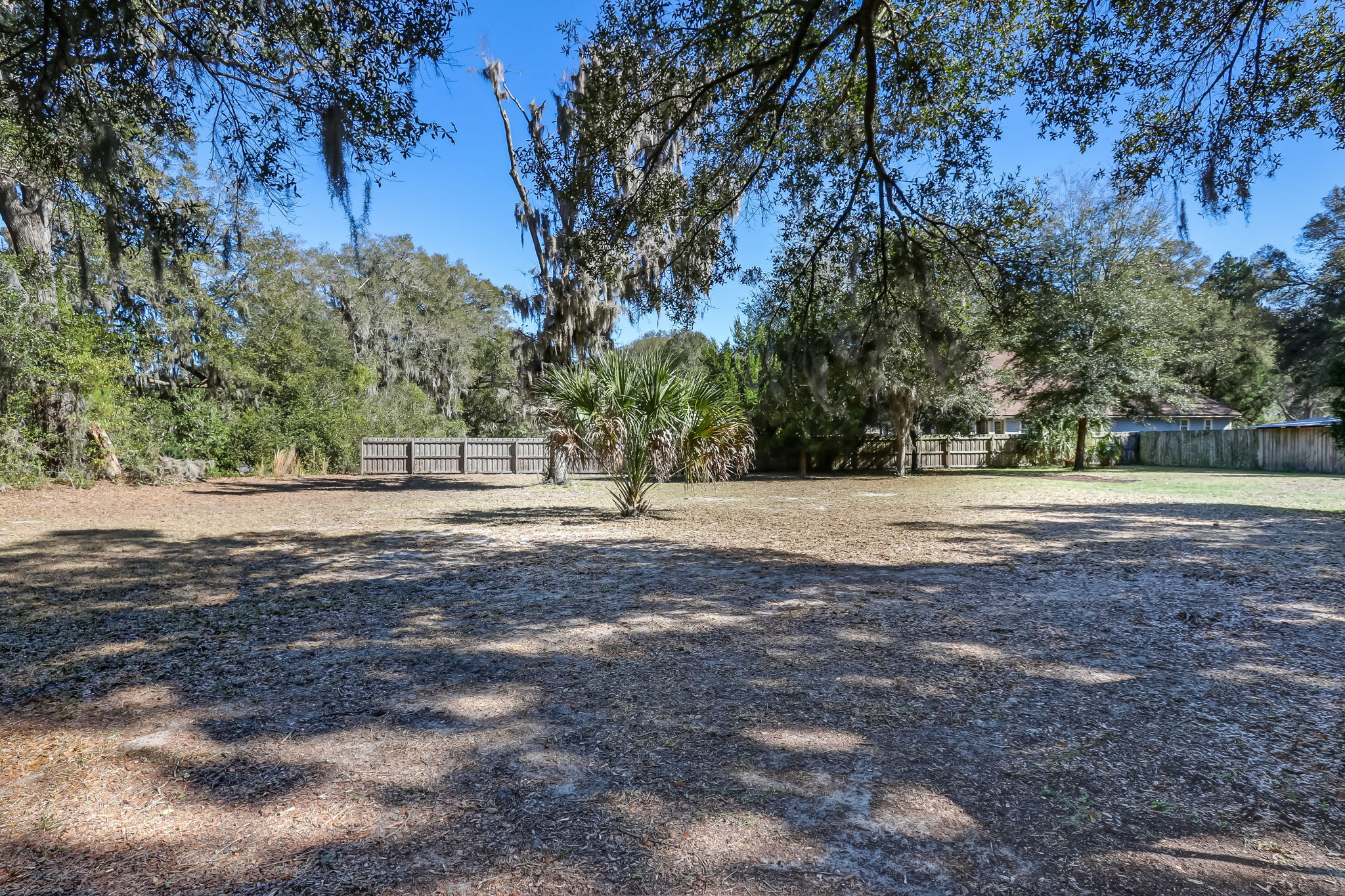 Backyard