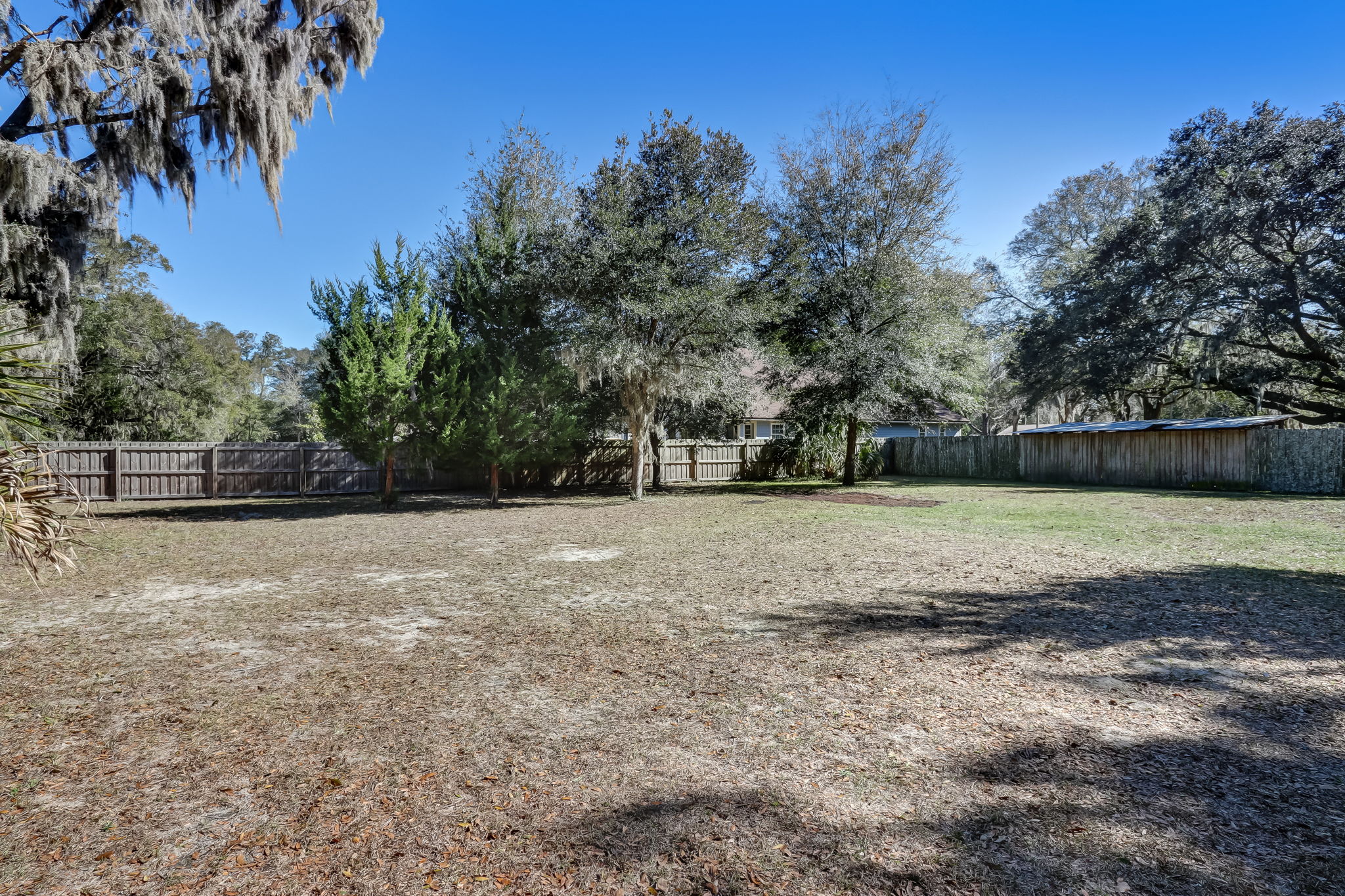 Backyard