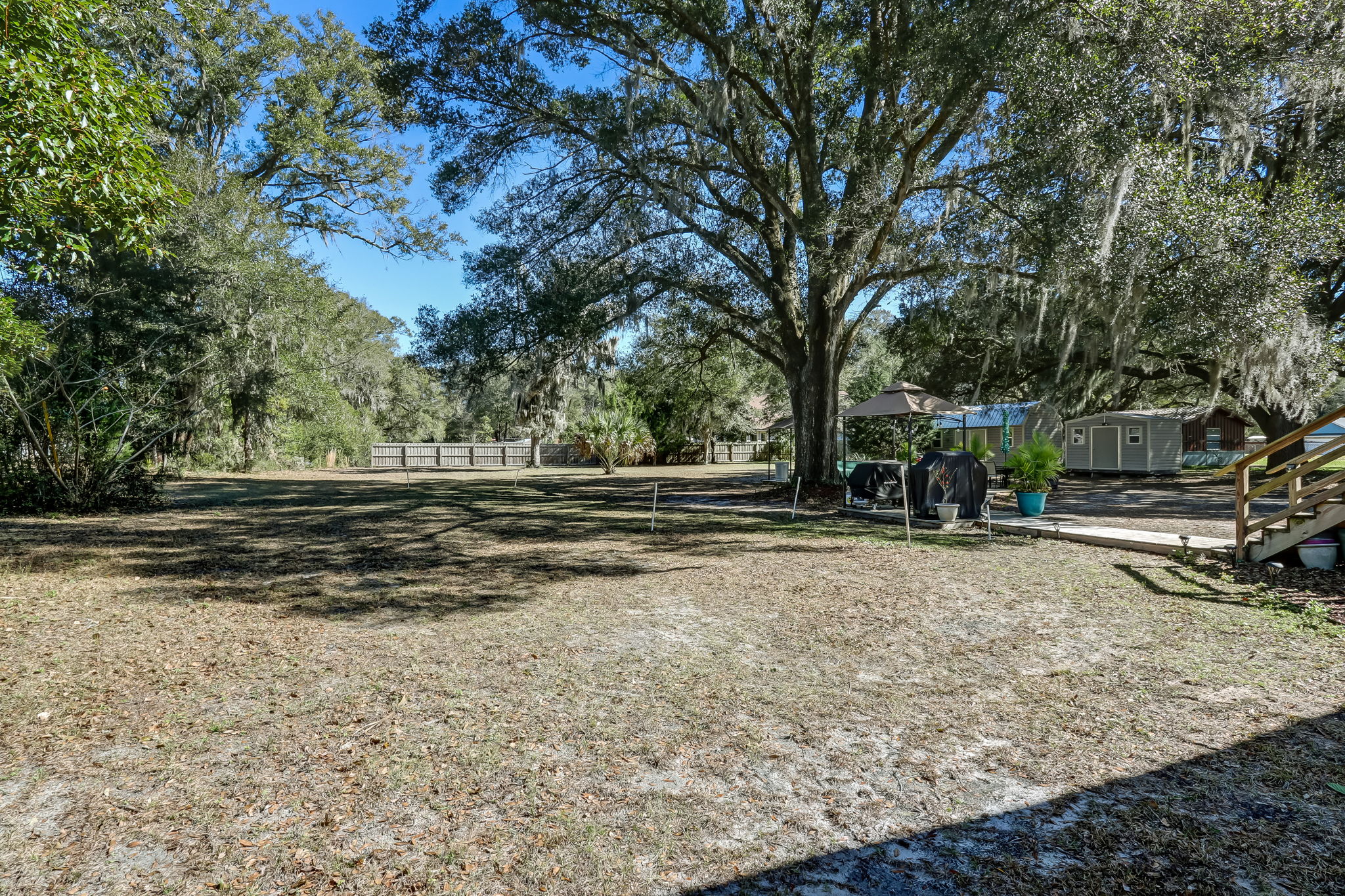 Backyard