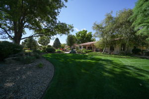  Photo 51