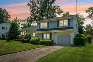 VT-1.jpg