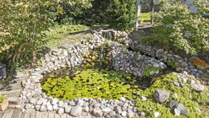  Photo 46