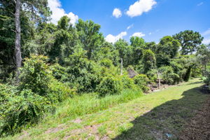 Backyard2