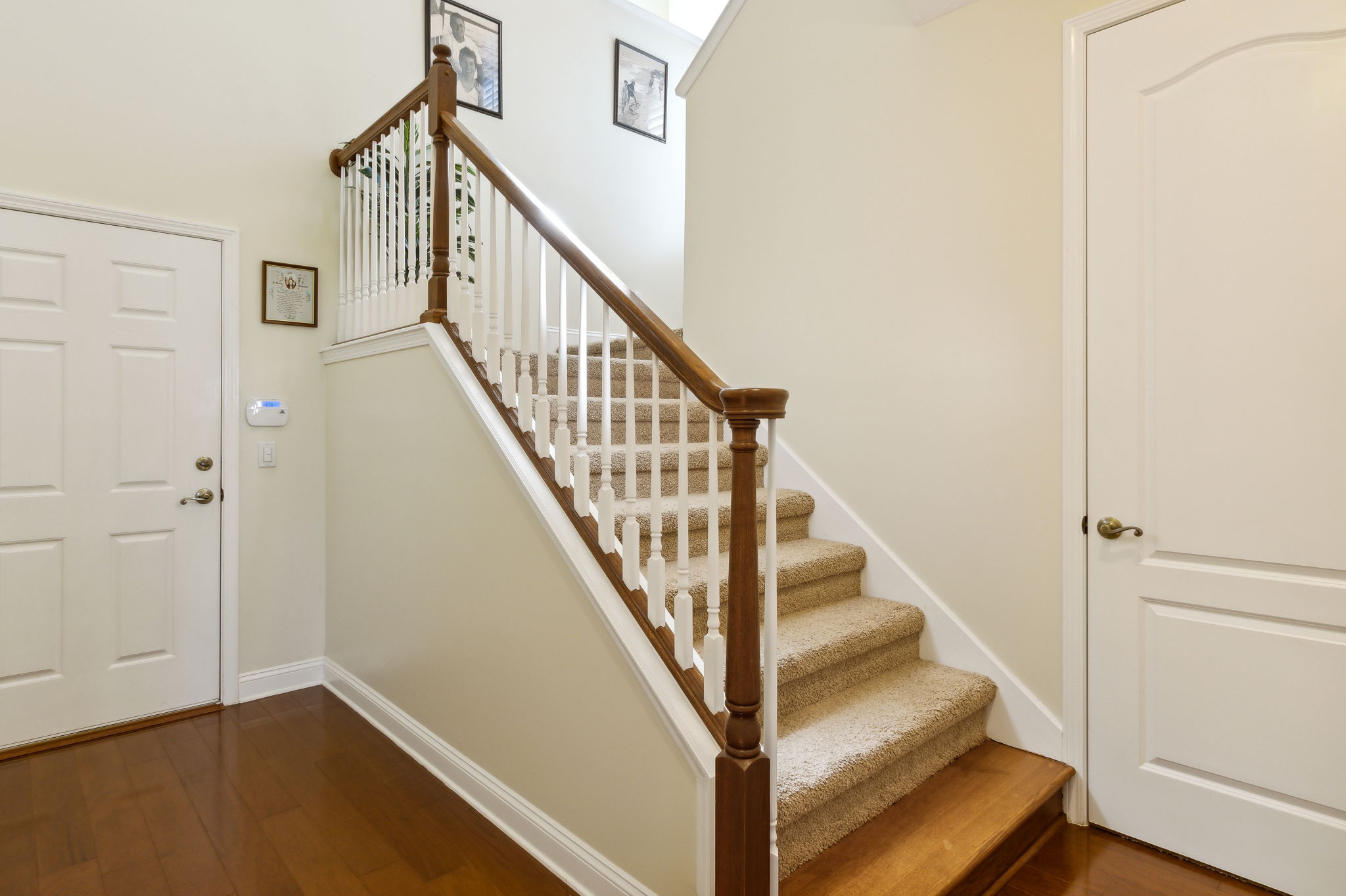 Steps to Bonus Area and Door to Garage