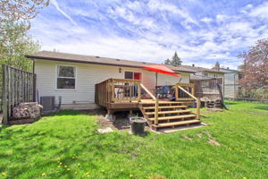  Photo 49