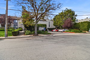 032_F8_853 Woodside Way 133