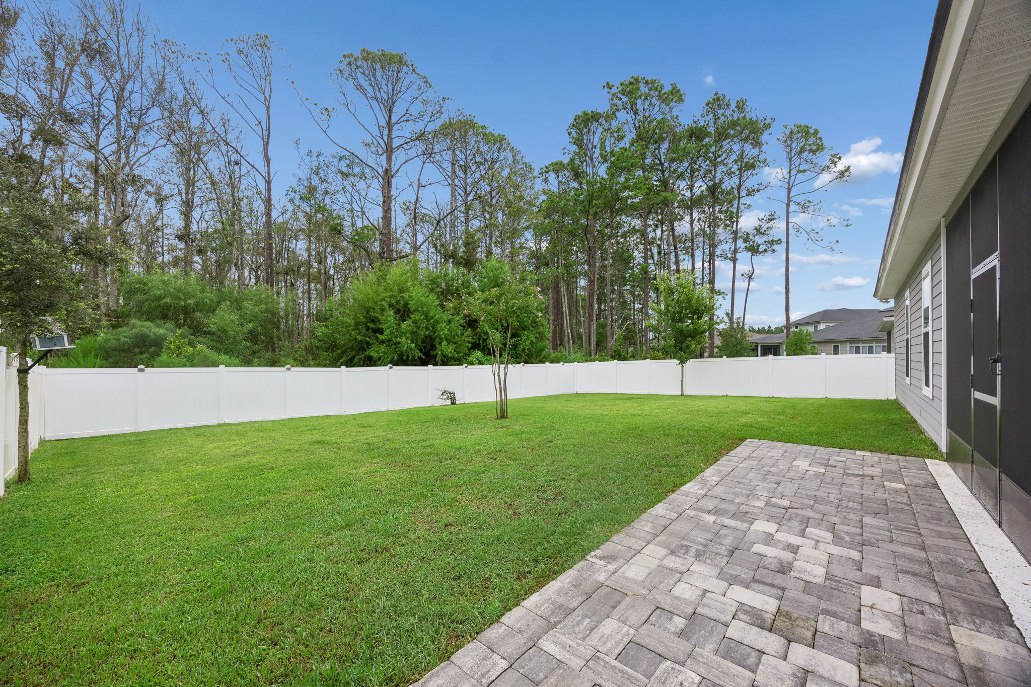 Backyard & Pavers