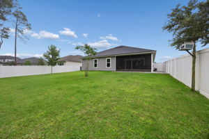Big Fenced Backyard