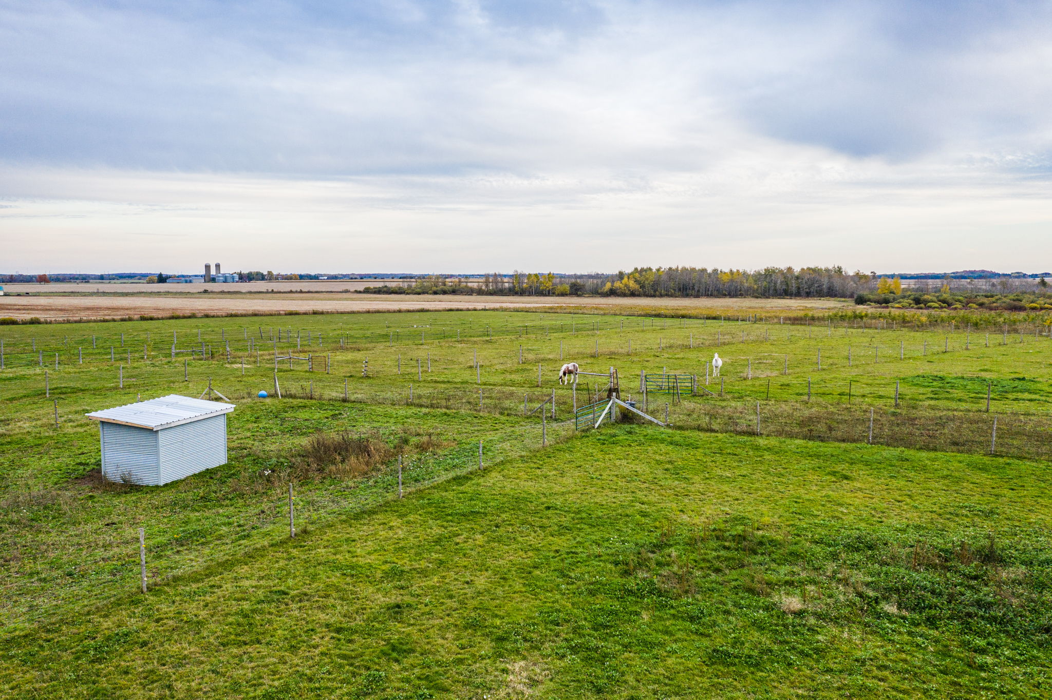  8537 Wellington County Rd 109, Arthur, ON N0G 1A0, US Photo 48