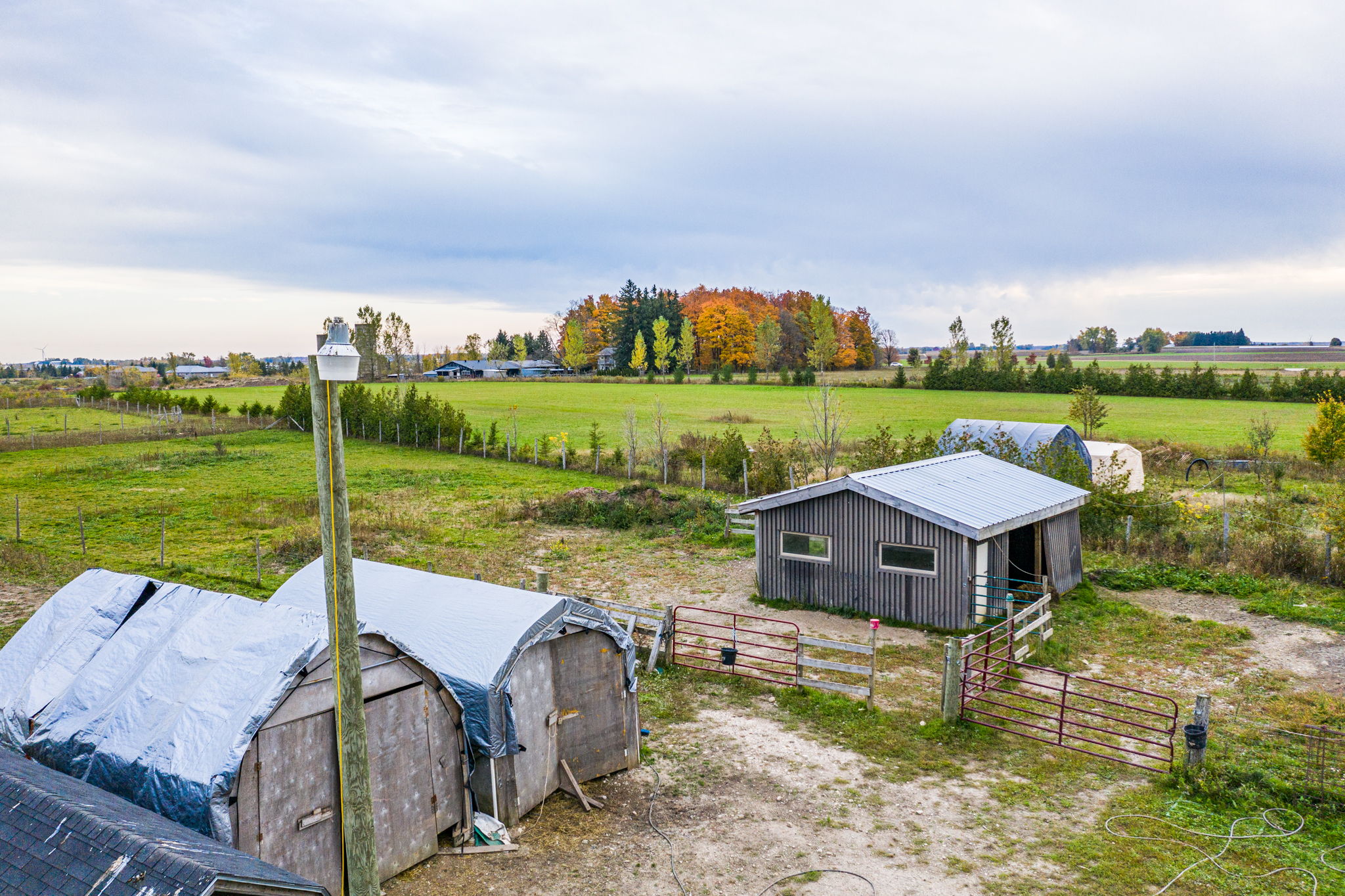  8537 Wellington County Rd 109, Arthur, ON N0G 1A0, US Photo 44