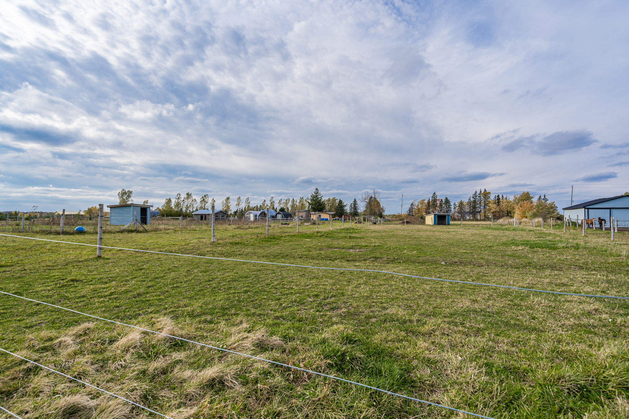  8537 Wellington County Rd 109, Arthur, ON N0G 1A0, US Photo 34