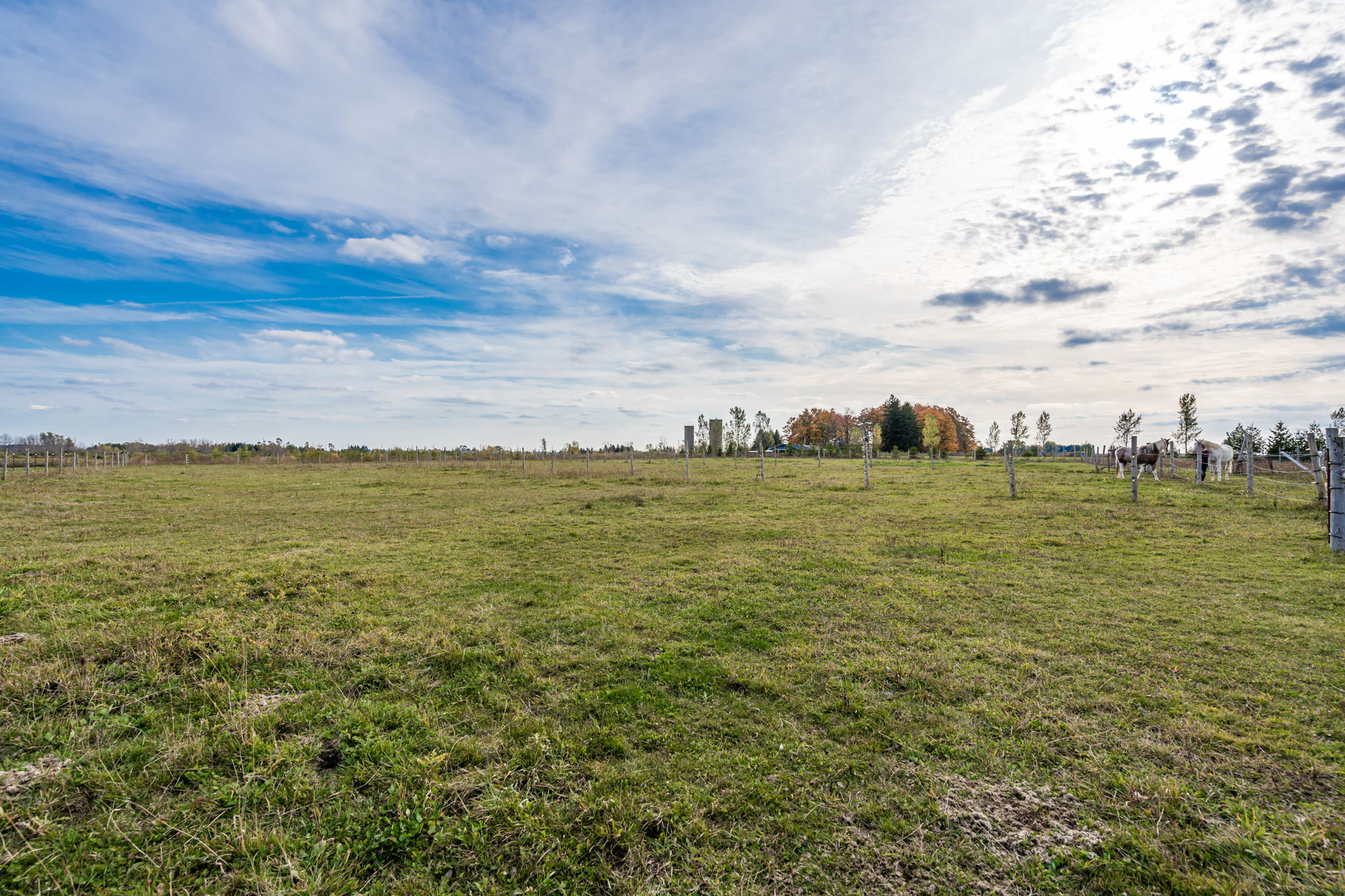  8537 Wellington County Rd 109, Arthur, ON N0G 1A0, US Photo 35