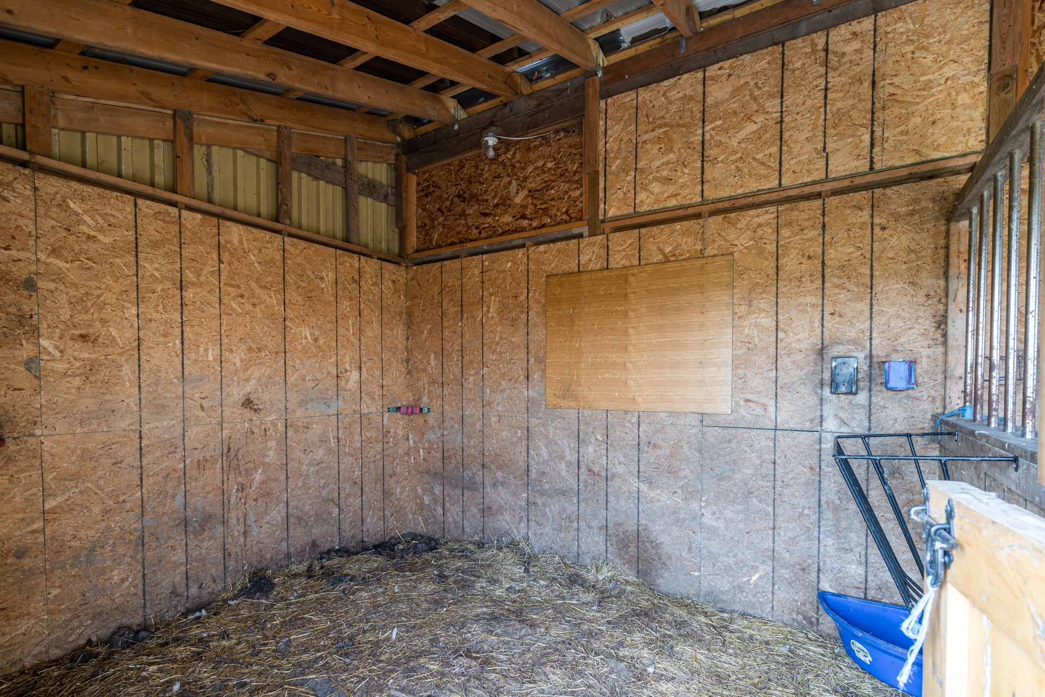  8537 Wellington County Rd 109, Arthur, ON N0G 1A0, US Photo 46