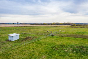  8537 Wellington County Rd 109, Arthur, ON N0G 1A0, US Photo 47