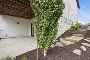  Photo 48