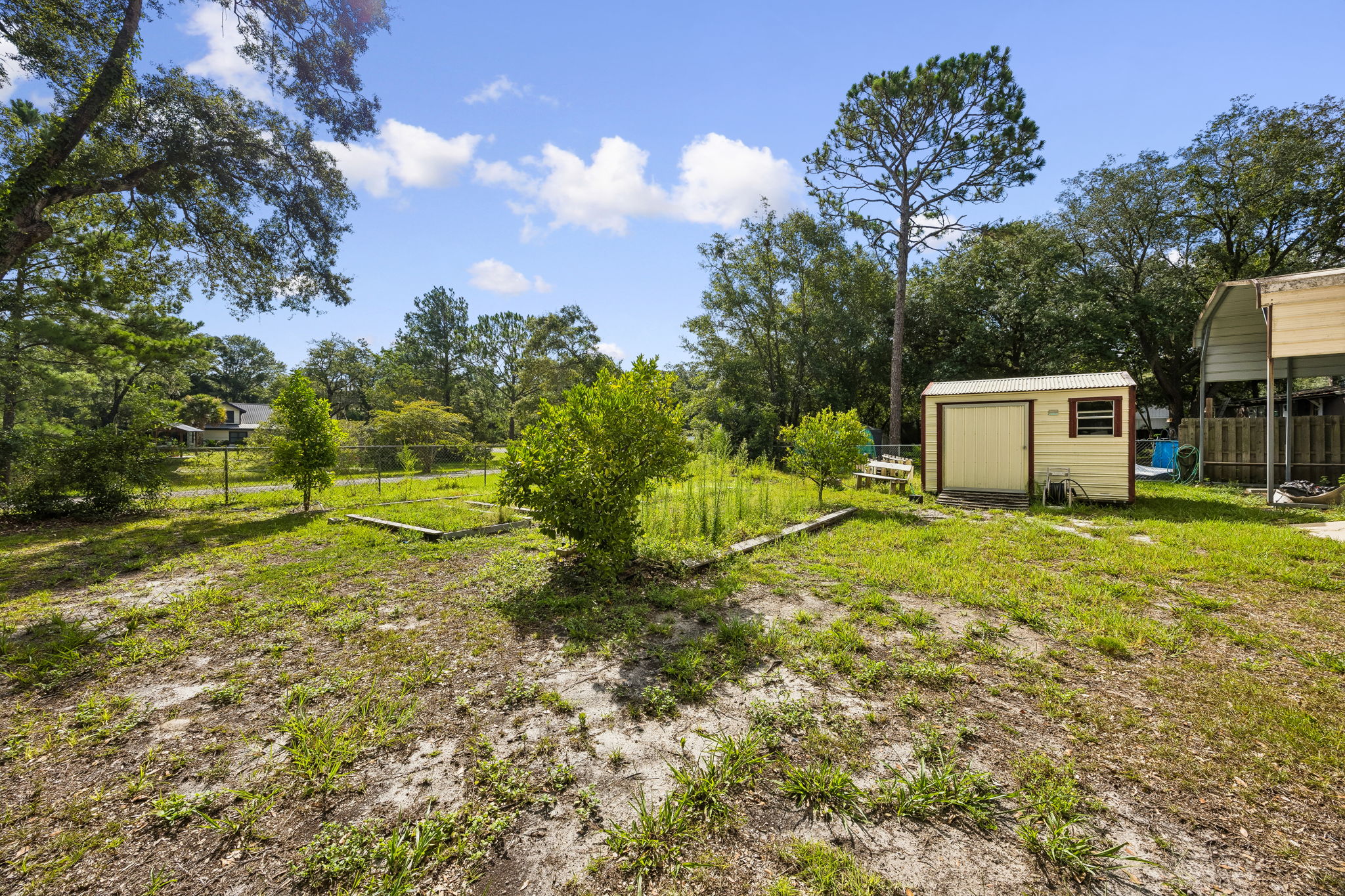 Backyard
