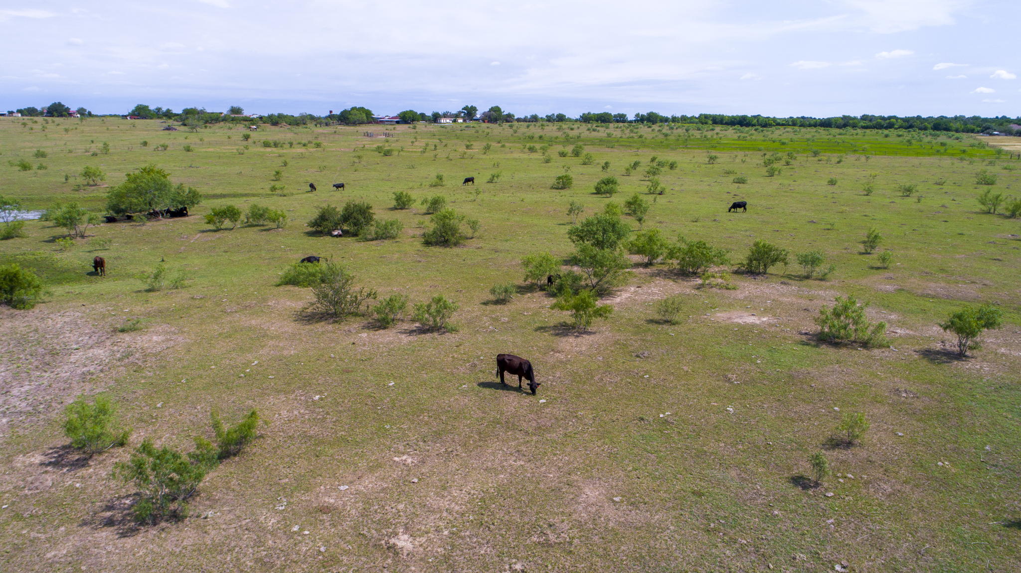 855 Upper Elgin River Rd, Elgin, TX 78621, USA Photo 17