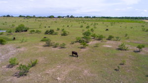 855 Upper Elgin River Rd, Elgin, TX 78621, USA Photo 16