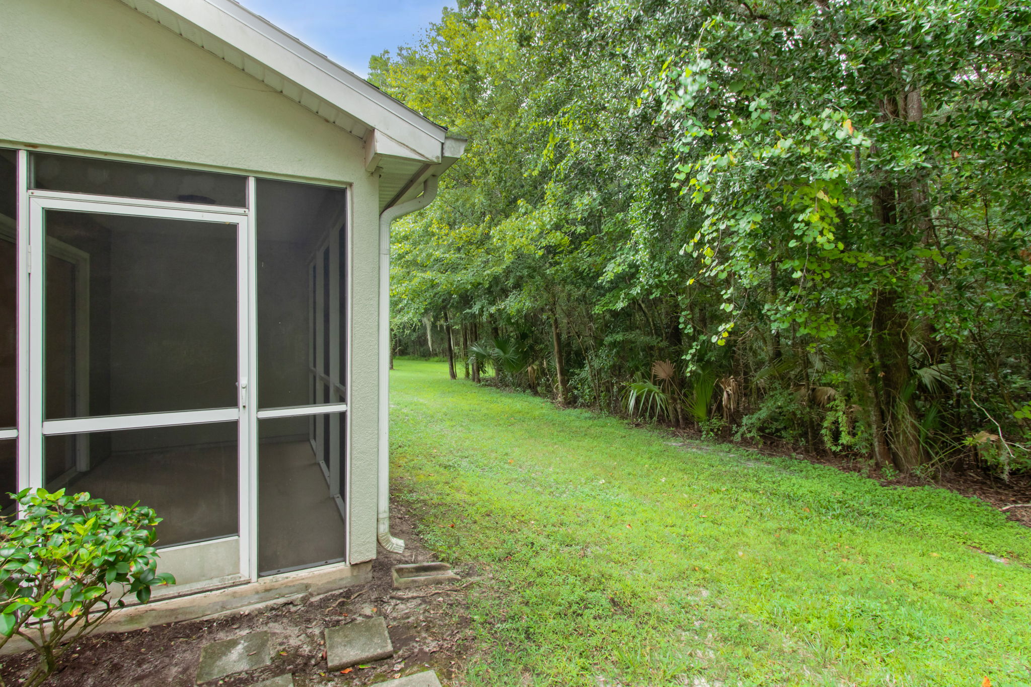 Backyard