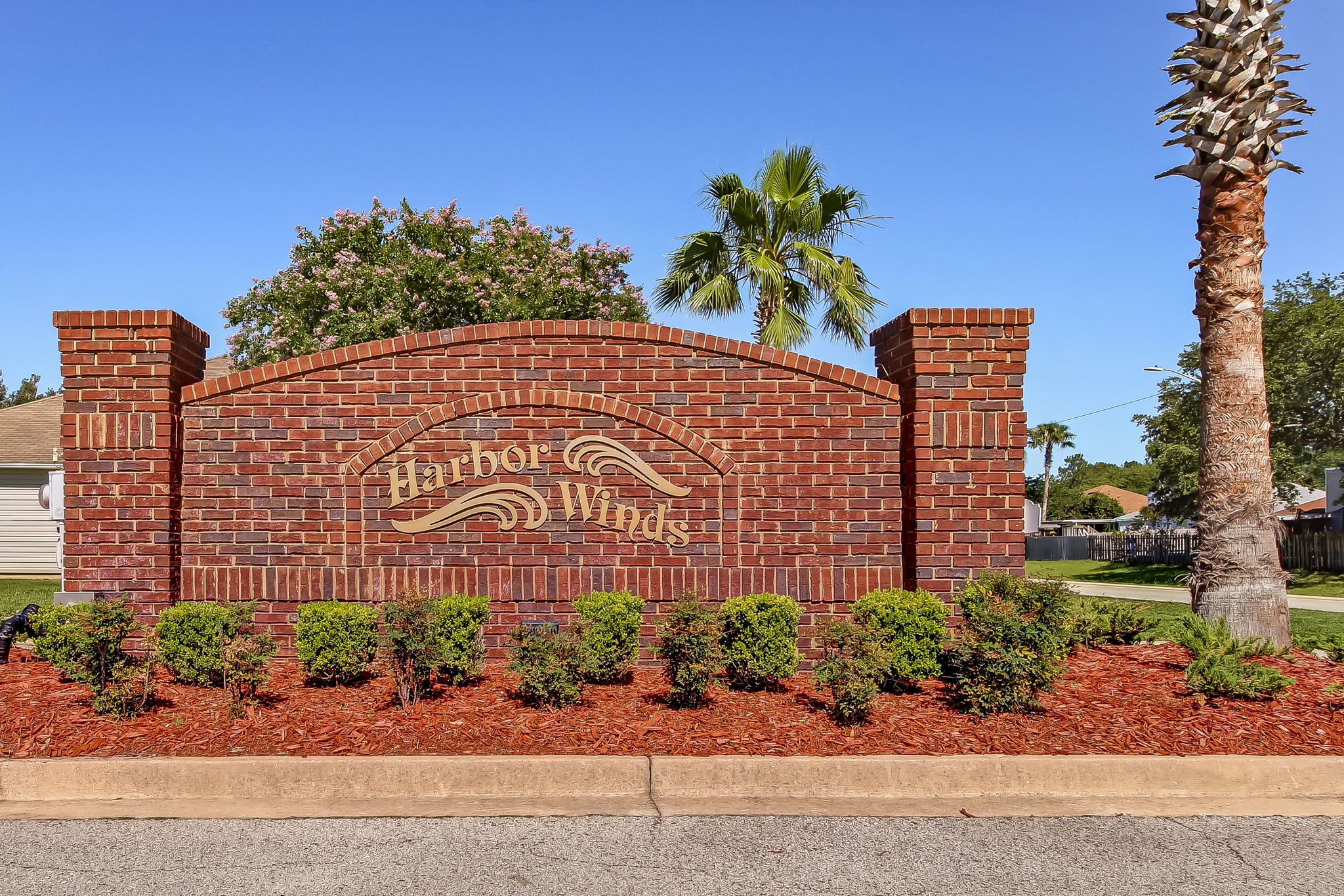 Harbor Winds