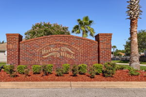 Harbor Winds