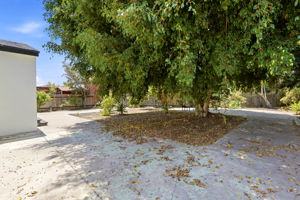 Photo 33