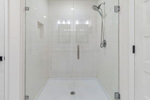 Master Bath Shower