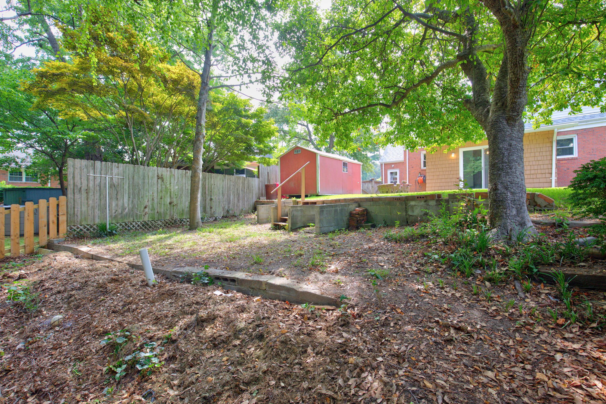 Back Yard