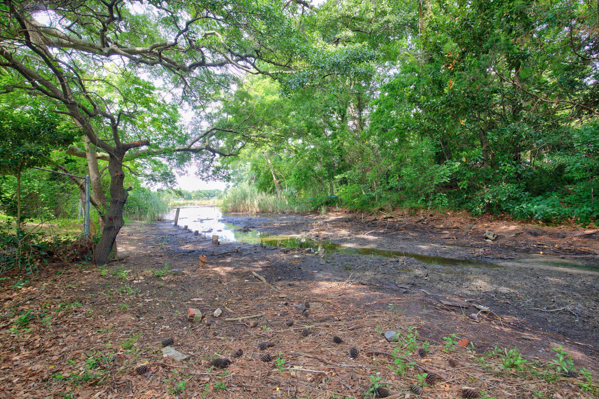 Creek View