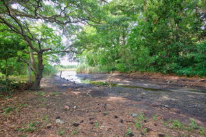 Creek View