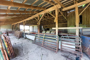  Photo 47