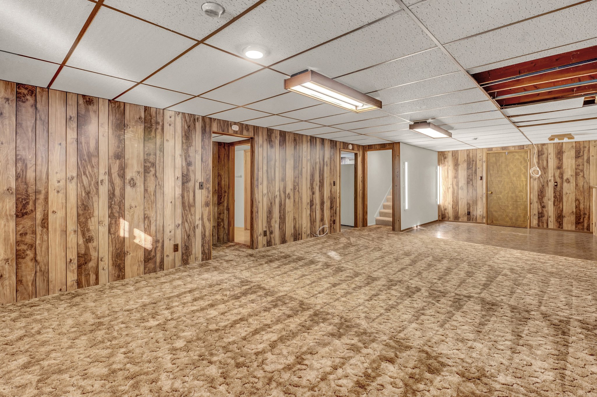 Basement