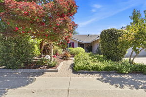 001_F8_8568 Silvia St