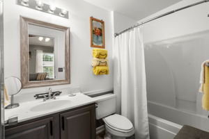  Photo 43