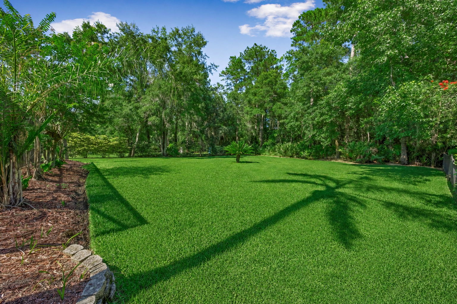 … with the pool set to one side so a wide backyard still unfolds beyond it ...