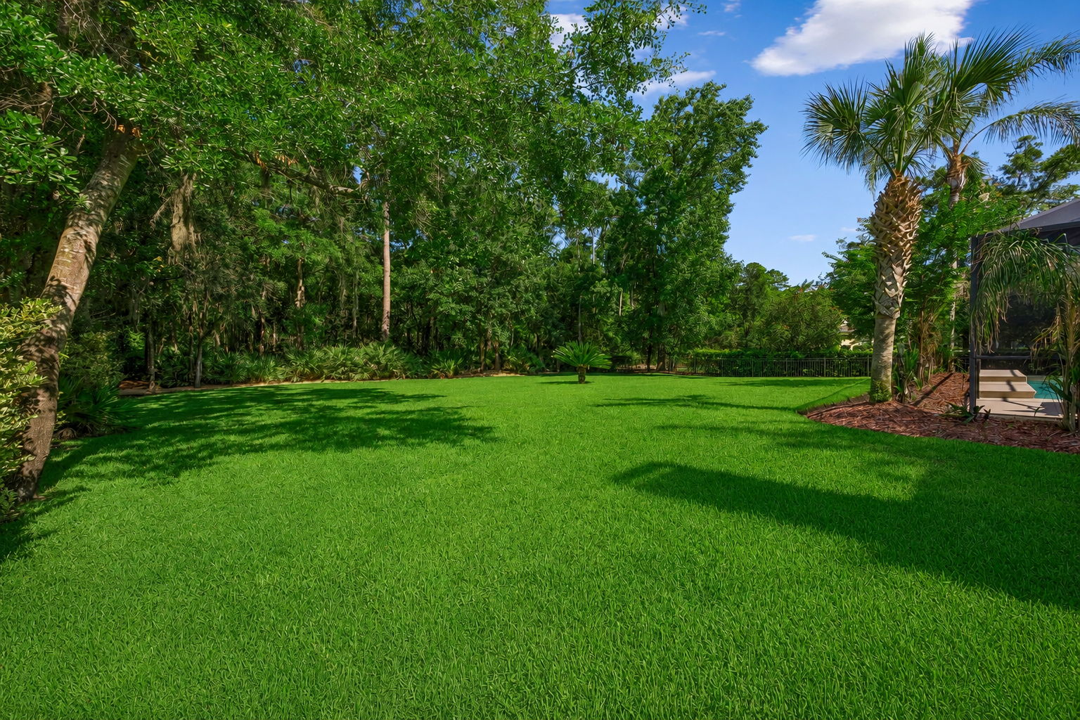… framed by palms, mature trees, and a lush backdrop that gives the property a rare sense of privacy.