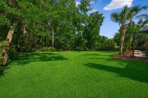 … framed by palms, mature trees, and a lush backdrop that gives the property a rare sense of privacy.