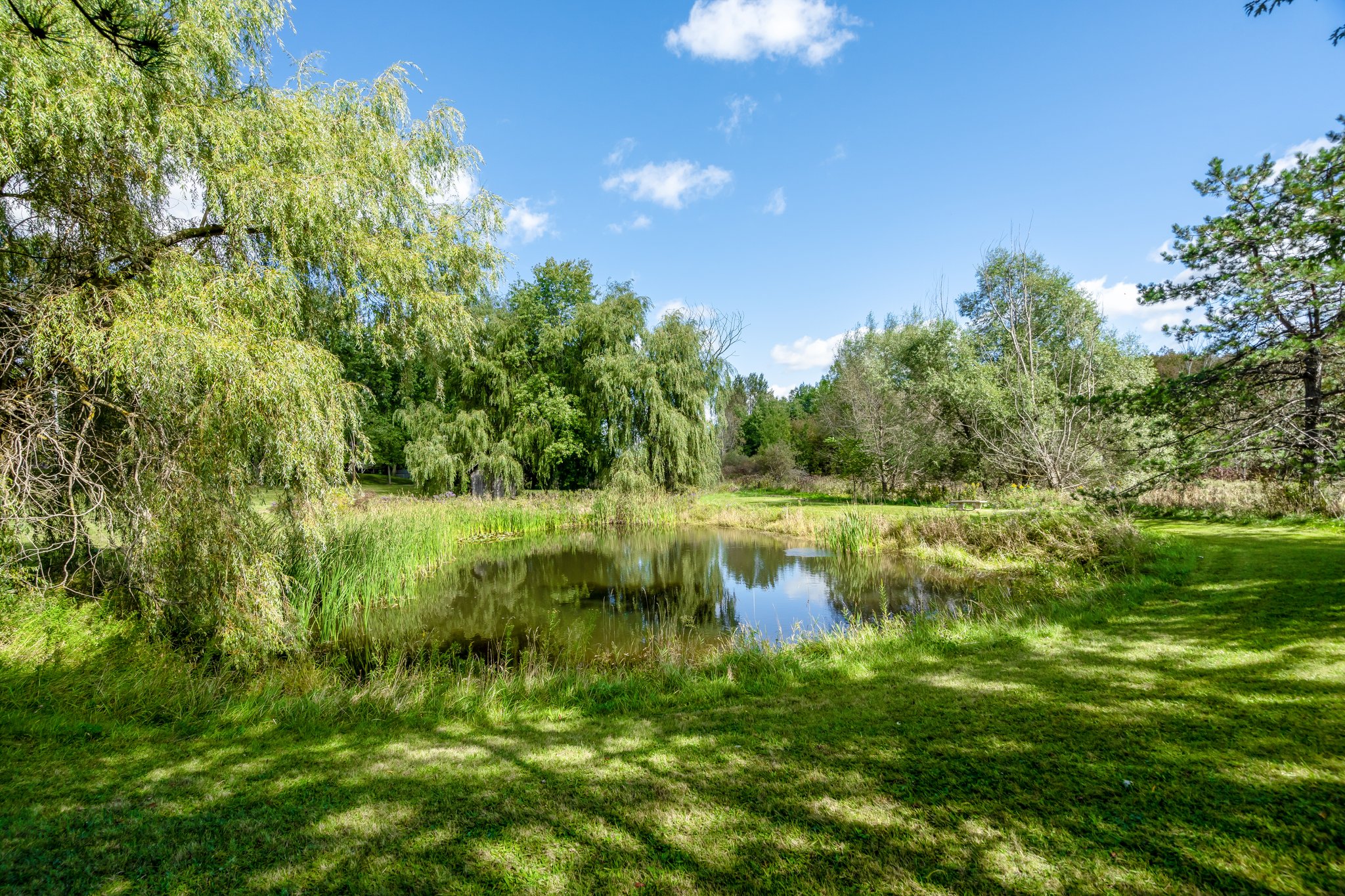 8577 Side Rd 15, Belwood, ON N0B 1J0, Canada Photo 65
