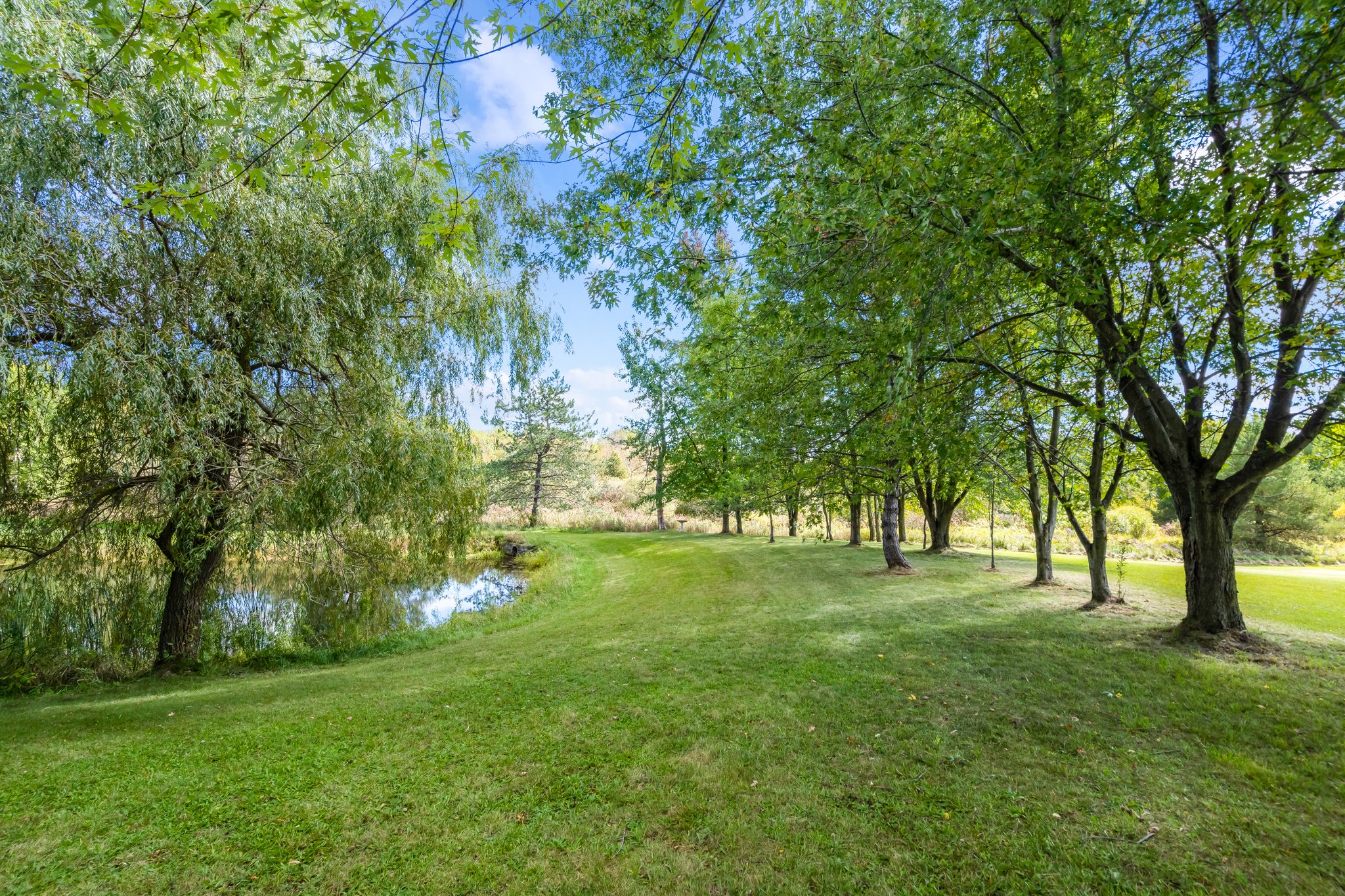 8577 Side Rd 15, Belwood, ON N0B 1J0, Canada Photo 64