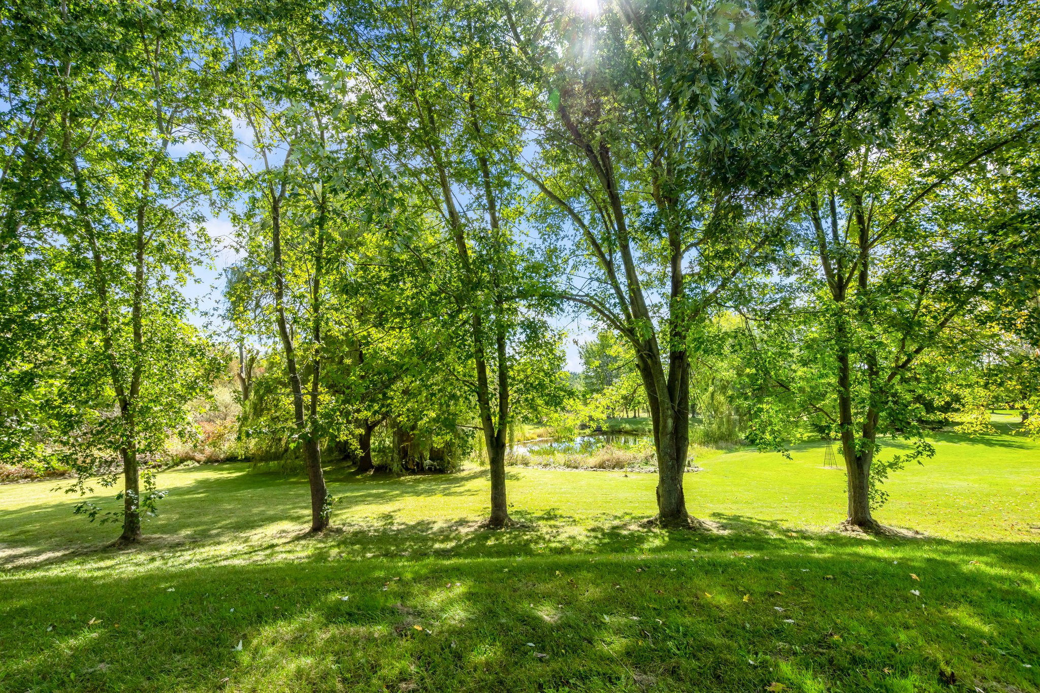 8577 Side Rd 15, Belwood, ON N0B 1J0, Canada Photo 60