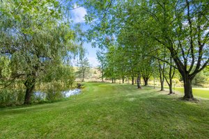 8577 Side Rd 15, Belwood, ON N0B 1J0, Canada Photo 63